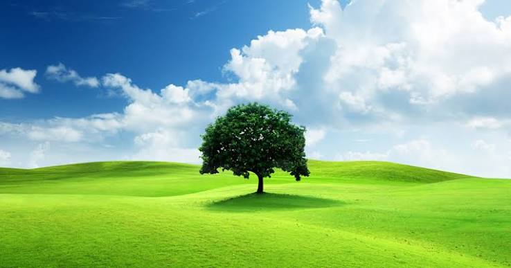 My new blog 4